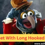 Muppet With Long Hooked Beak