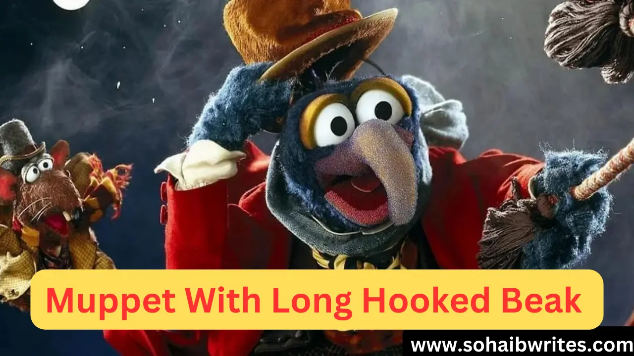 Muppet With Long Hooked Beak